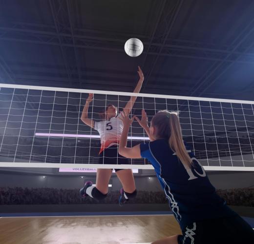 female-professional-volleyball-players-action-3d-stadium